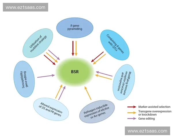 围绕全速冲刺核心系统解析人体极限体能提升与突破路径研究策略机制