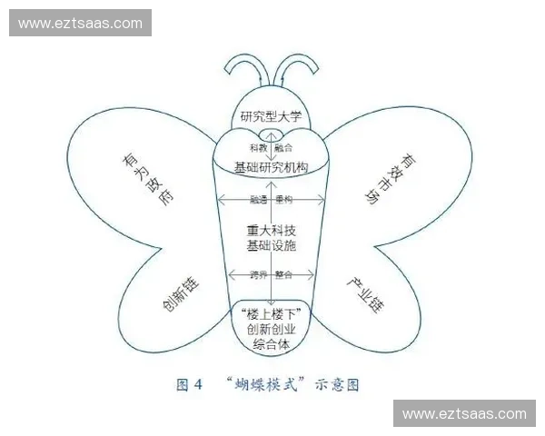 以创新科技驱动的运动鞋研发设计与性能突破实践路径探索与未来