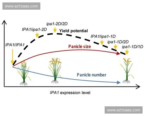 场地摩擦对运动表现和安全性的影响及其调控机制分析 场地摩擦对运动表现和安全性的影响及其调控机制分析